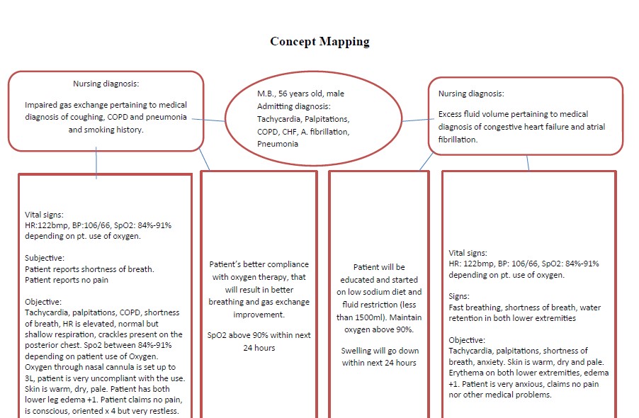 Nursing Patient Concept Map